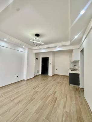 1 Bed Apartment with En Suite in Westlands Area image 9