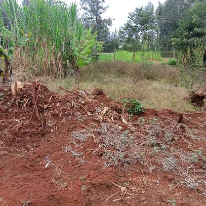 50x100ft plots for sale at Makuyu in Murang'a county image 1