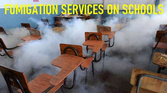 Fumigation and Pest control Services image 3