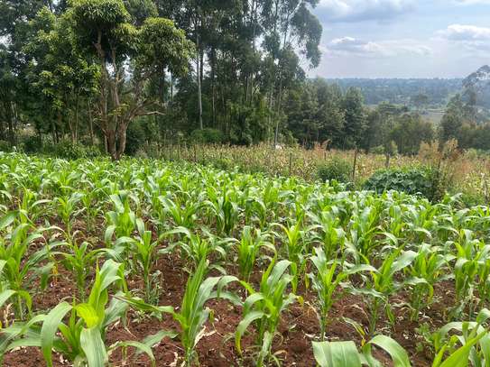 75 by 100 Plot for sale in Rironi, Kiambu County image 8