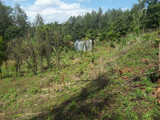 Lovely Quarter ( 1 / 4 ) Acre Land in Ngong image 7