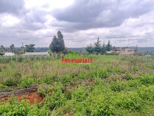 0.125 ac Residential Land at Migumoini image 13