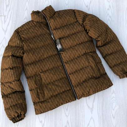 The North Face Puffer Jackets* image 1