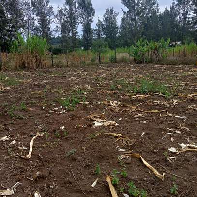 40*80ft plots for sale at Makuyu near Makuyu Teachers c image 7