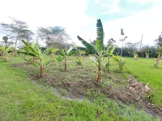 Prime 1 Acre Plot For Sale In Karen, Nairobi. image 4