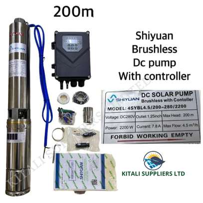 shiyuan brushless DC pump 200m image 1