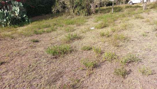 Residential Land at Pipeline Road image 3