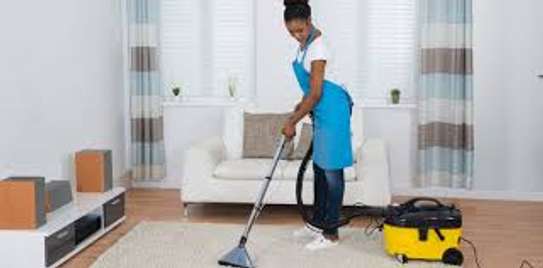 Cleaning Services in Nakuru image 6