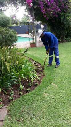 Best Landscaping and Gardening Company | Professional Landscape Designers | Contact Us Today. image 1