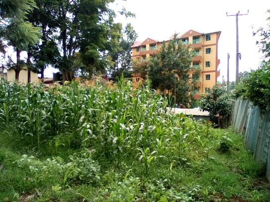 1/4-Acre Plot For Sale in Wangige image 3
