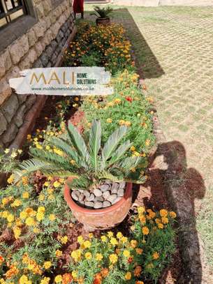Landscaping Services - Design, Installation, Supplies image 3