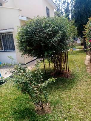 4br Salama Estate apartment for sale in Nyali. AS49 image 11