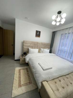 2 bedroom fully furnished and serviced apartment image 15