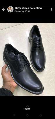 Men's Official Shoes image 2