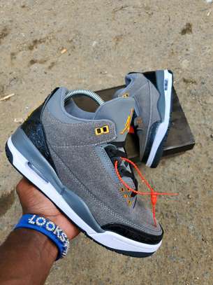 Jordan 3 Grey

Size 40-45 image 1