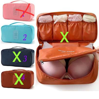 Portable undergarment organizer bags waterproof image 1