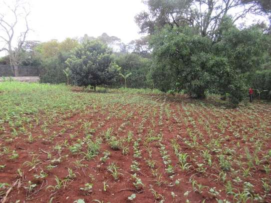 Residential Land at Karen Hardy image 6