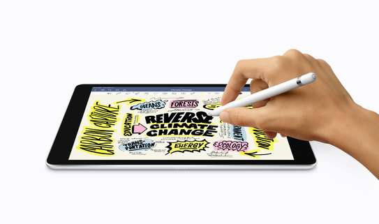 Apple  iPad 10.2-inch 9th gen Wi-Fi + Cellular 64GB - Space Grey image 6