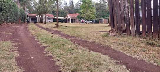 5 Bed House with Garden in Karen Hardy image 5