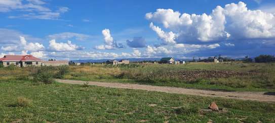 Weteithie creek plots on sale - Weteithie image 2