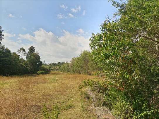 5 ACRES FORSALE image 2