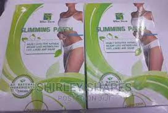 WINS TOWN NATURAL SLIMMING PATCH image 3