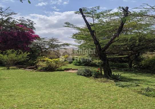 3 Bed House with Garden at Lewa image 10