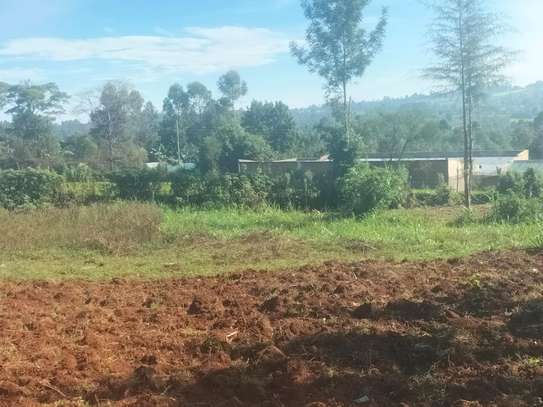 Spacious Rural Land Plot for Farming & Home image 6