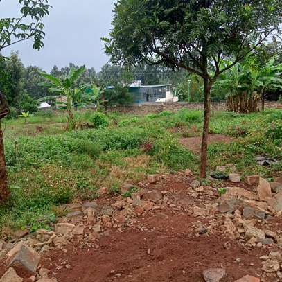 50*100ft Commercial plots for sale at Kenol town image 3