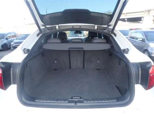 2018 BMW X6 petrol image 11