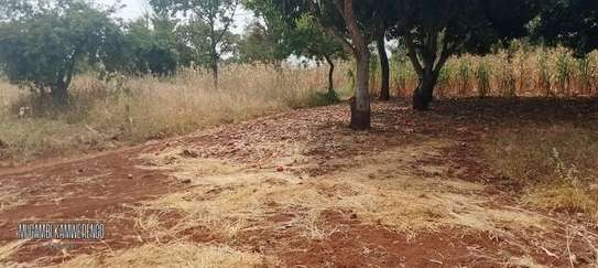 Ugweri 2acres image 5