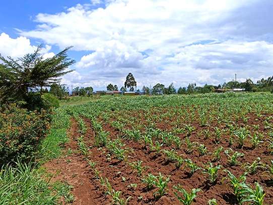 Prime residential plots in Kikuyu kamangu image 2