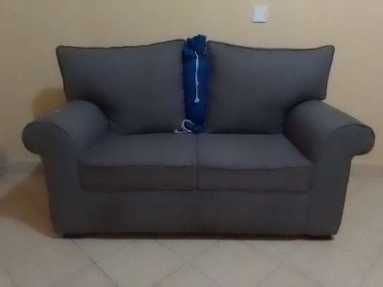 2 Seater Couch with Free Throw Pillow. image 1
