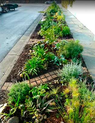 Garden Maintenance Service | Bestcare Gardening Service | Landscaping & Gardening Services in Nairobi.Contact Us image 11