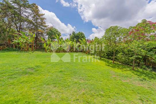 0.5 ac Land in Rosslyn image 6