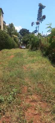 0.5 ac Residential Land at Muthithi image 19
