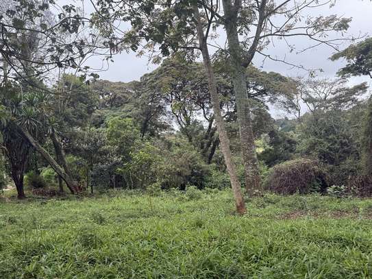 5 ac Land in Kitisuru image 11