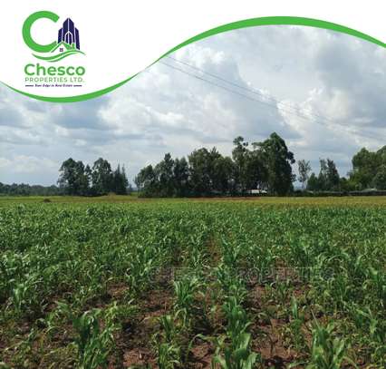 29 Acres For Sell Harambee Area, Kakamega County image 1