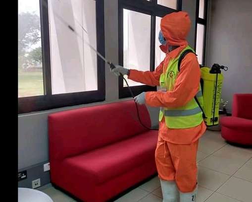 Cockroach fumigation services in utawala image 1