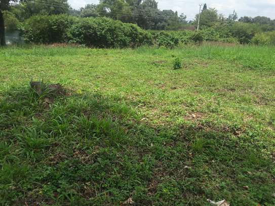 Lovely One Acre in Karen image 2