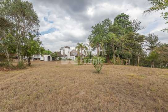 19.1 ac Land at Mukoma Road image 6