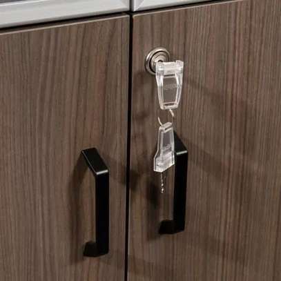 Office Cabinet : 2-Door Wooden Office Cabinet image 3