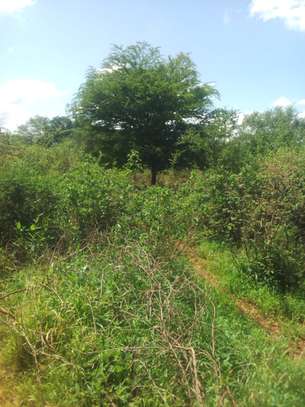 30 Acres of Virgin Land In Makindu Makueni Are For Sale image 3