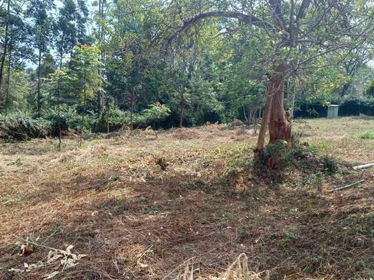 2,023 m² Residential Land at Rosslyn Lone Tree image 7