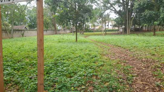 Land in Muthaiga image 5