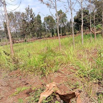 Kenol town commercial/residential plots for sale image 4