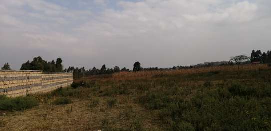0.05 ha Land at Ondiri/Mugumoini image 5