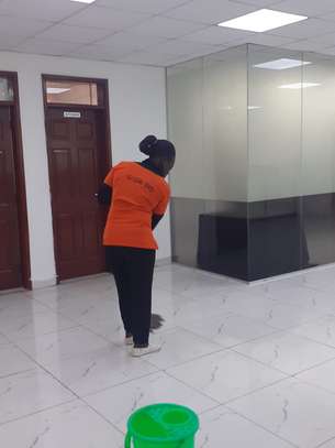 SOFA,HOME & HOUSE CLEANING IN LAVINGTON image 2