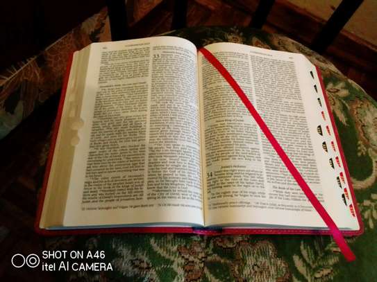 Pink leather-bound Holy Bible NIV image 12
