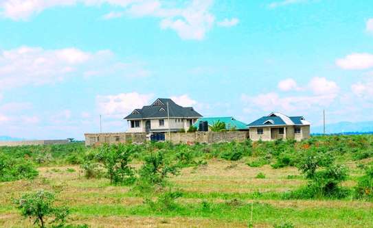 Affordable Residential plots for sale-Lily Court image 4